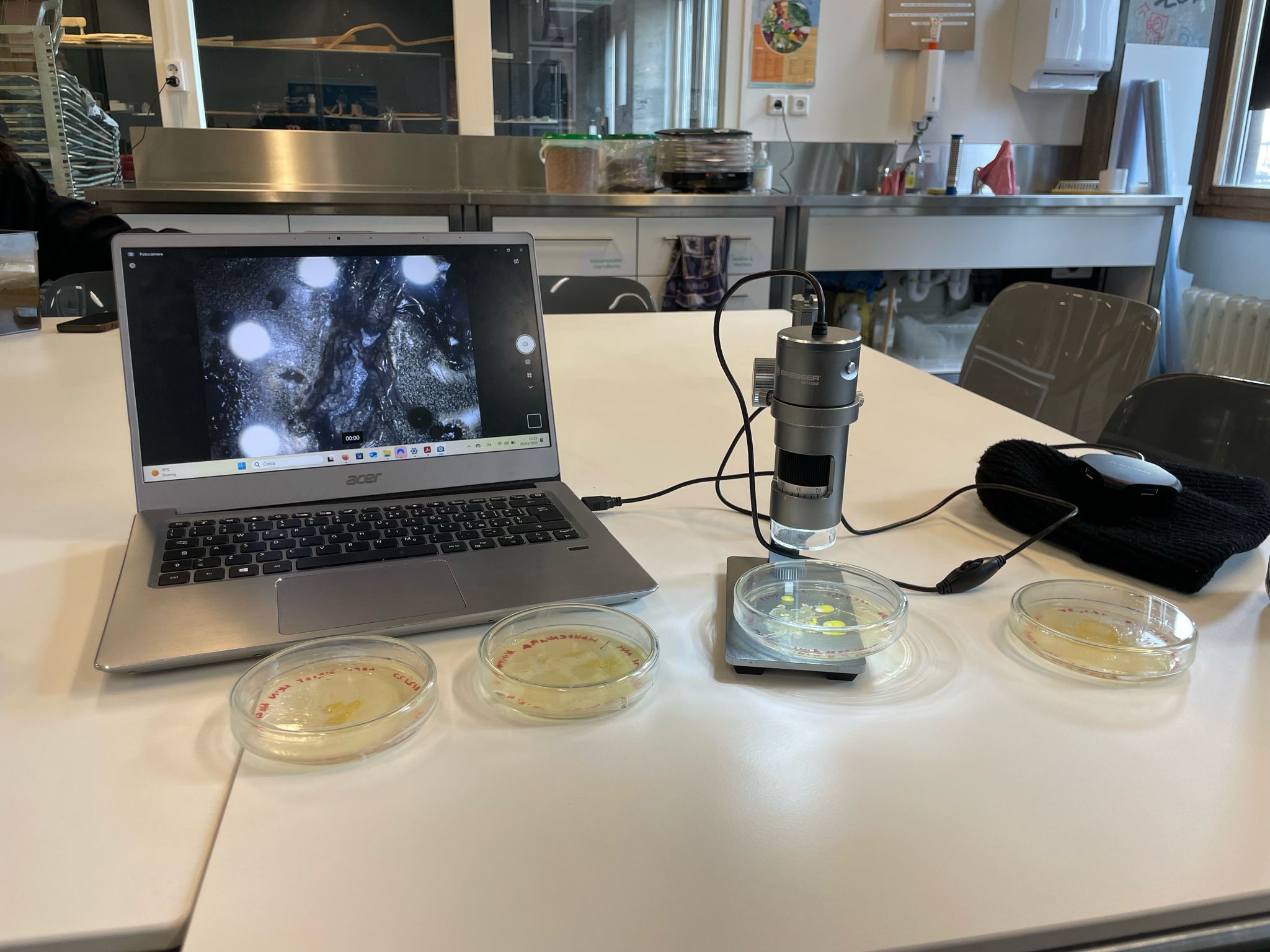 Epidermitecture Visual